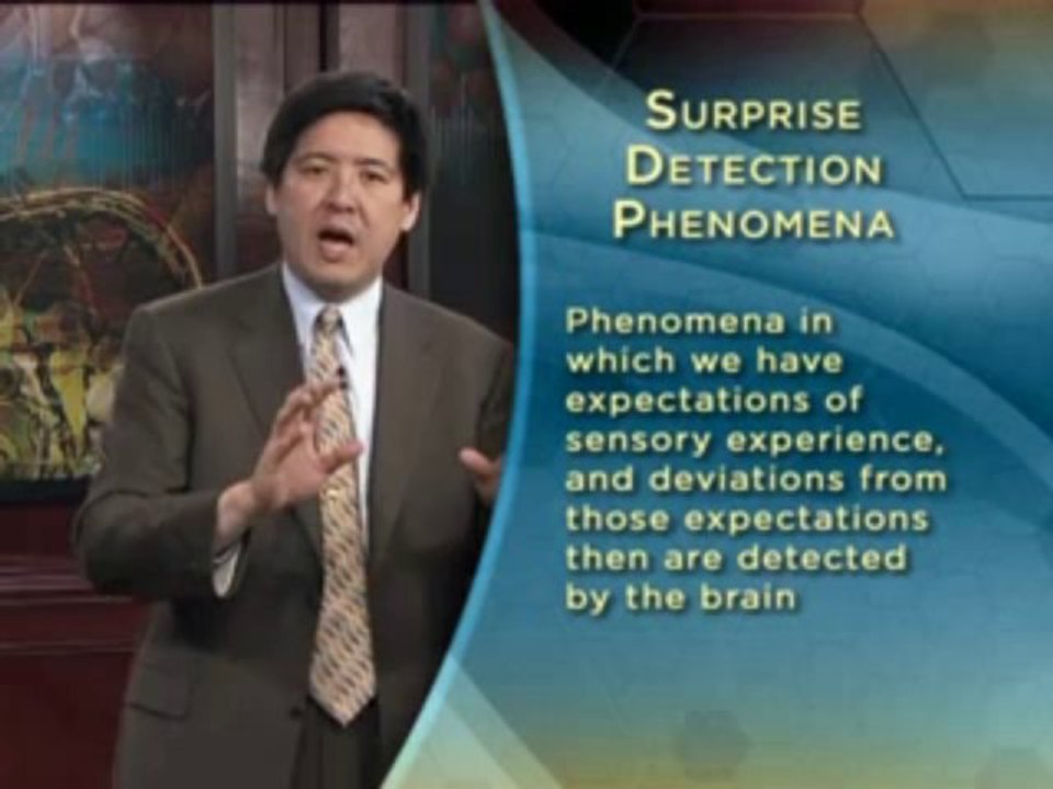 08 - Perception and Your Brain's Little Lies