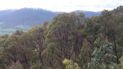 Vue vers Mount Beauty