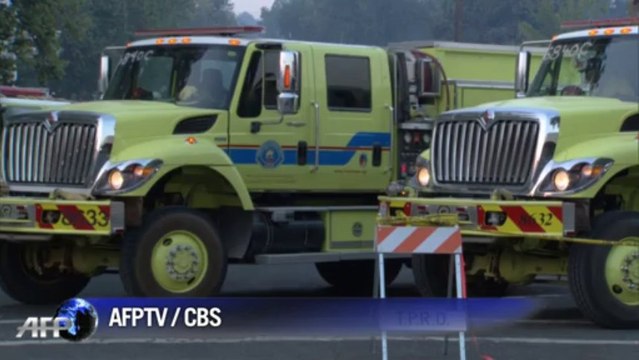 Ancient sequoia trees could be affected by wildfires