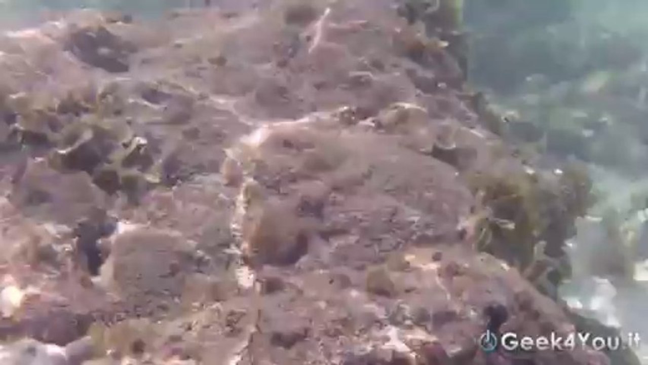 Panasonic HX-WA30 test subacqueo