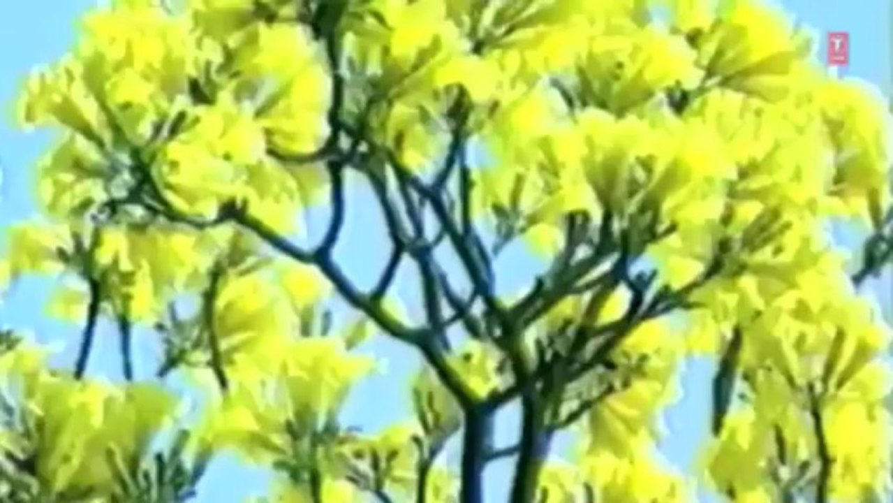 Kahin Chand Raahon Mein Kho Gaya - Chandan Das Ghazals 'Deewangee' Album