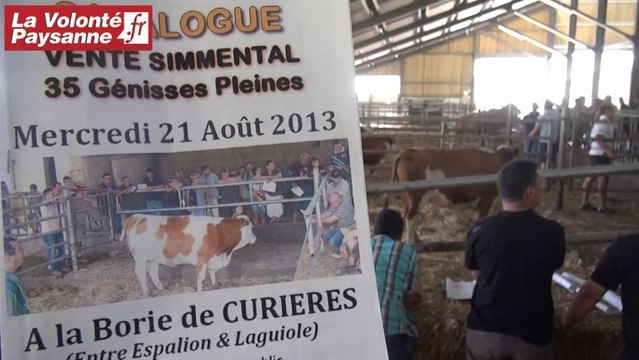 Curières (Aveyron) : vente de génisses Simmental