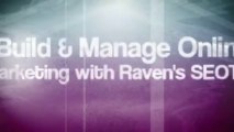 Raven Tools Api - About Raven