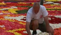 800.000 bégonias pour le Tapis de fleurs de Bruxelles