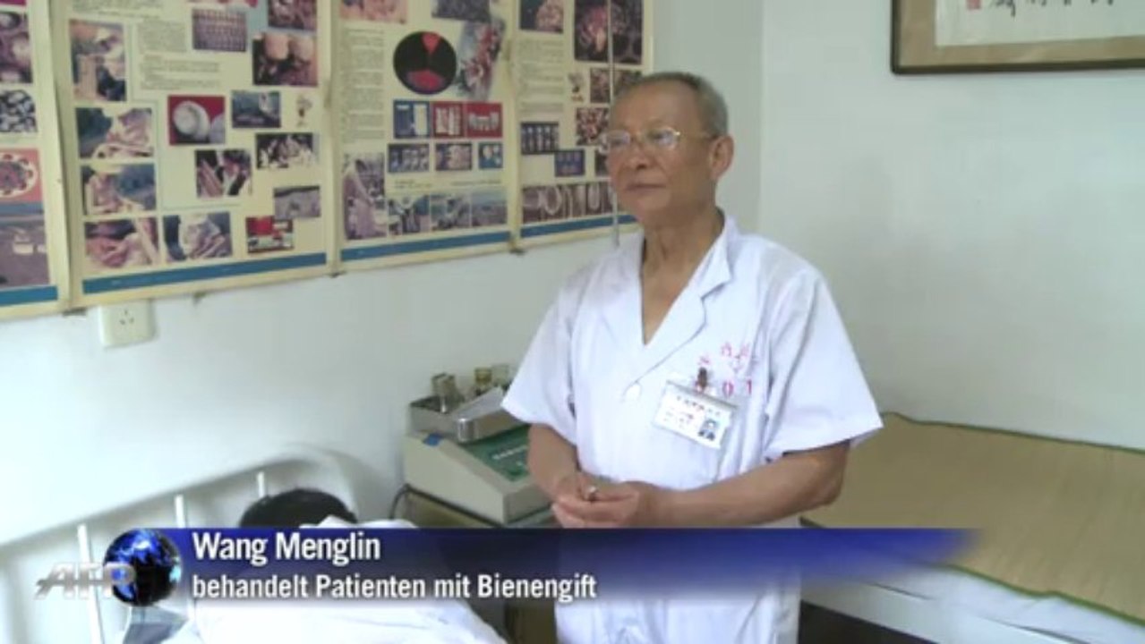 Akupunktur durch Bienenstich: Chinesen schwören auf Insekten