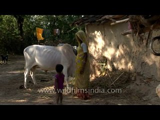 Villagers-rajasthan-7