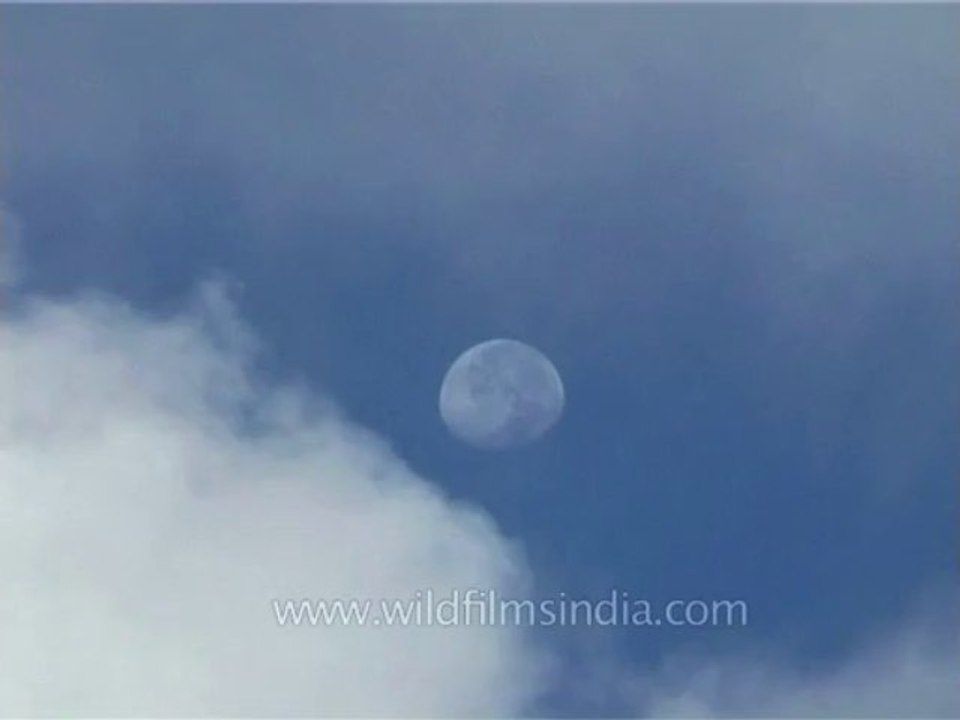 DVD-147-landscape-moon-2-1