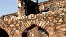 Zafar Mahal-Mehrauli-7