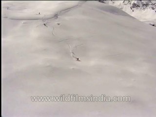 Aerial-chopper-dvd-104-10