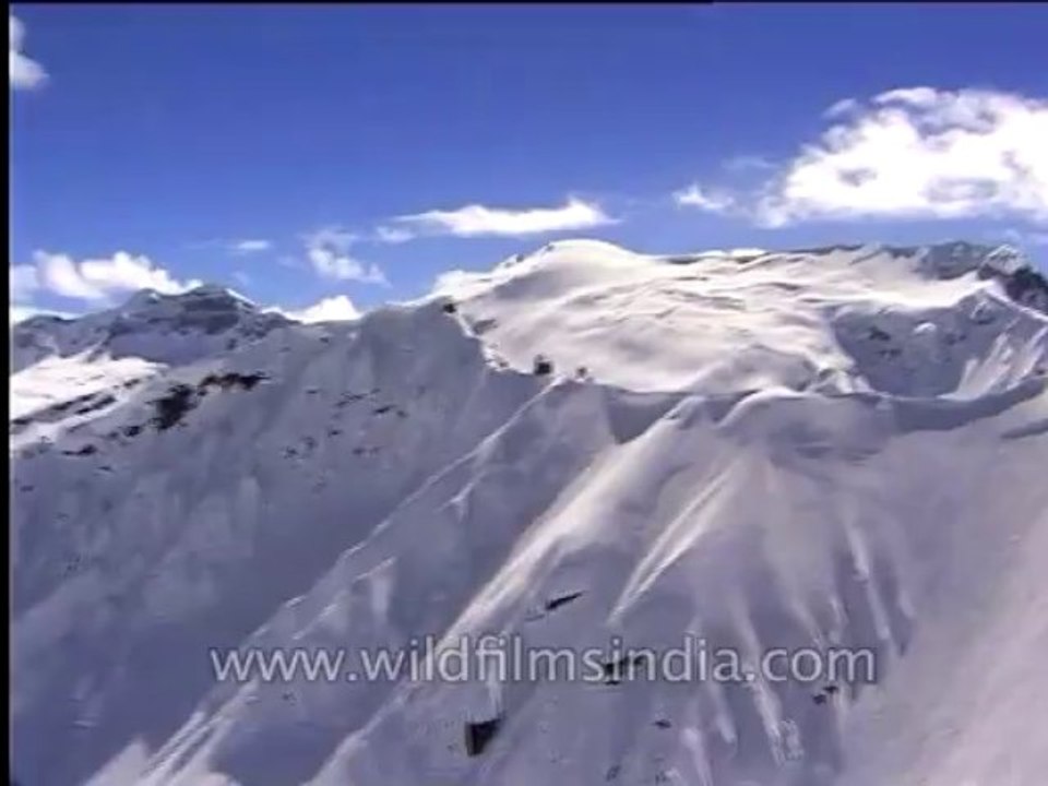 Aerial-chopper-dvd-104-3