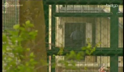 Un vingtaine de mineurs dans les prisons bruxelloises