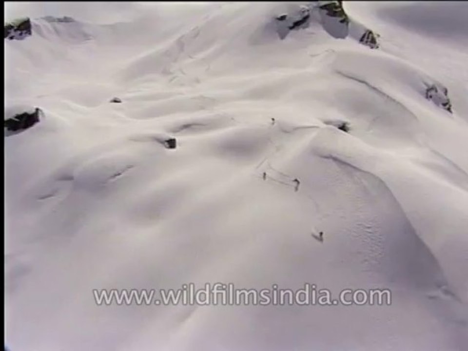 Aerial-chopper-dvd-104-9