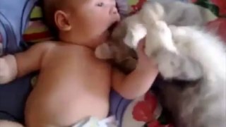 Un joli mement de tendresse entre un bébé et un chat