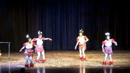 Africa-Festival-Hdv-Tape-2-35