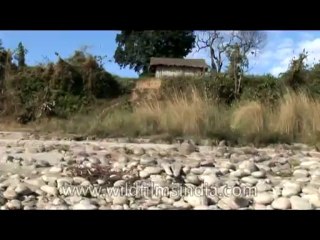Arunachal-River-DVD-127-13