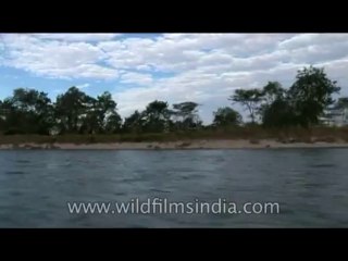 Arunachal-River-DVD-127-4
