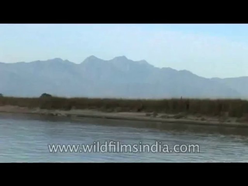 Arunachal-River-DVD-127-5