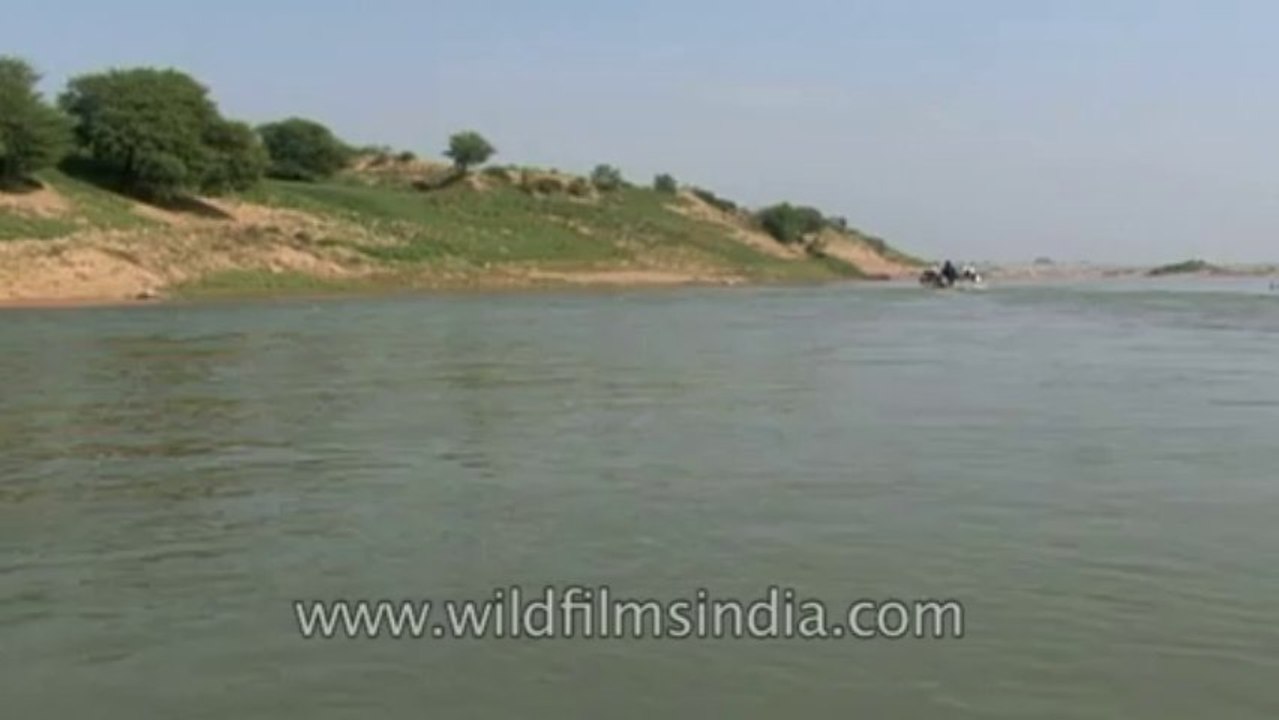 Chambal-hdv-tape-3-10