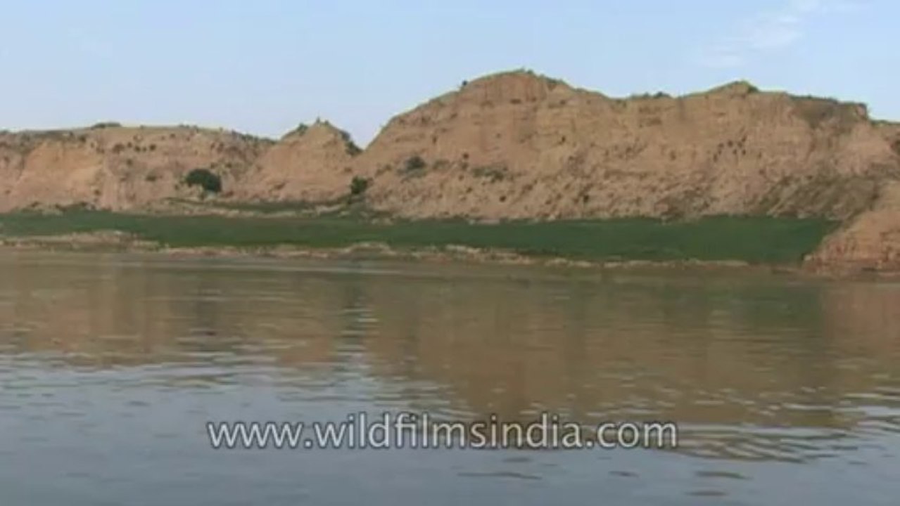 Chambal-hdv-tape-3-11
