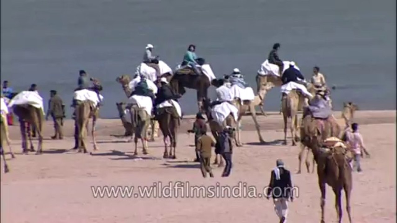 Chambal-hdv-tape-4-7