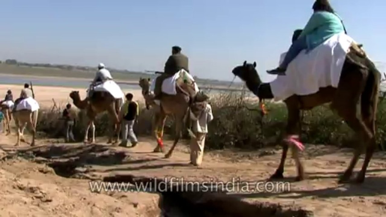 Chambal-hdv-tape-7-19