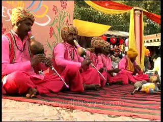 DVD-106-delhi-dillihaat-18-1