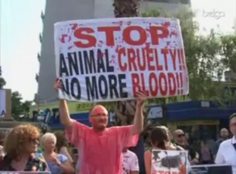 Le monde de la tauromachie réclame des corridas libres