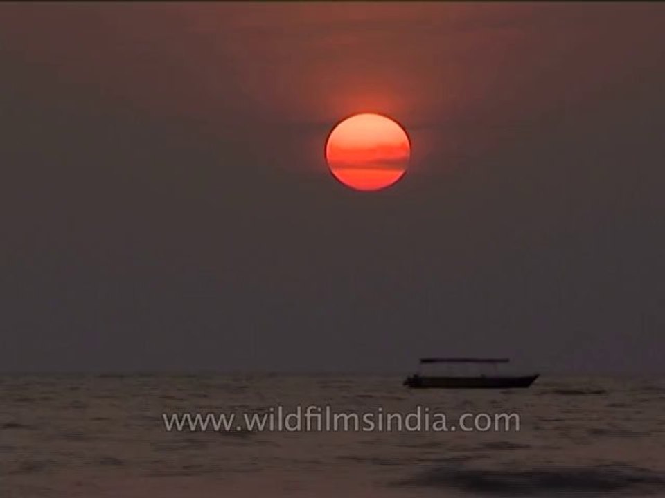 DVD-109-landscape-misc-7-1