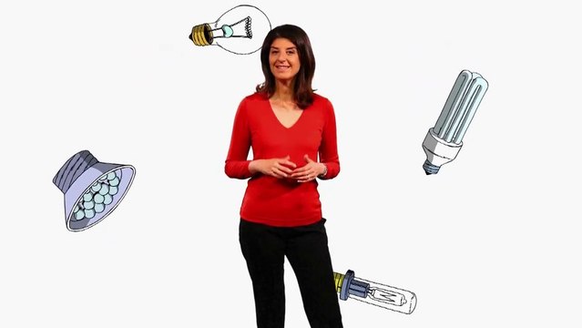 Choisir ses lampes basse consommation (Flash conso - CSF 56)