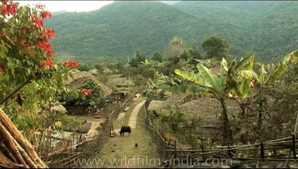 DVD-111-ne-arunachal-6-2