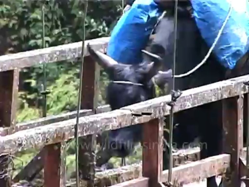 DVD-124-wb-kanchenjunga-8-7