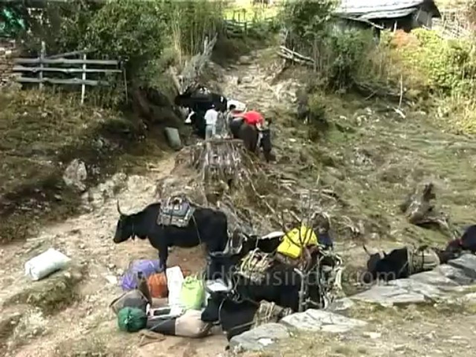 DVD-124-wb-kanchenjunga-9-3