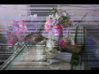 Wedding Florists Melbourne