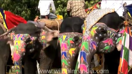 DVD-87-festivals-holi-2-3