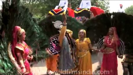 DVD-87-festivals-holi-7-1