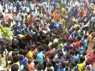 DVD-90-festivals-bullrun-1-3