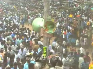 DVD-90-festivals-bullrun-1-5