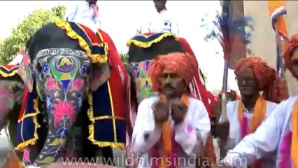 Festival-Holi-dvd-87-5