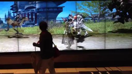 Final Fantasy XIV - Eorzea Mirror