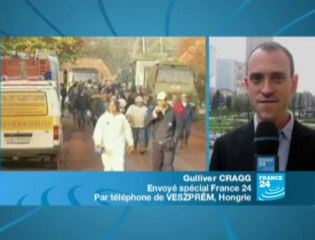 Hongrie : la toxicité de la boue rouge s'atténue dans les eaux du Danube (France 24)