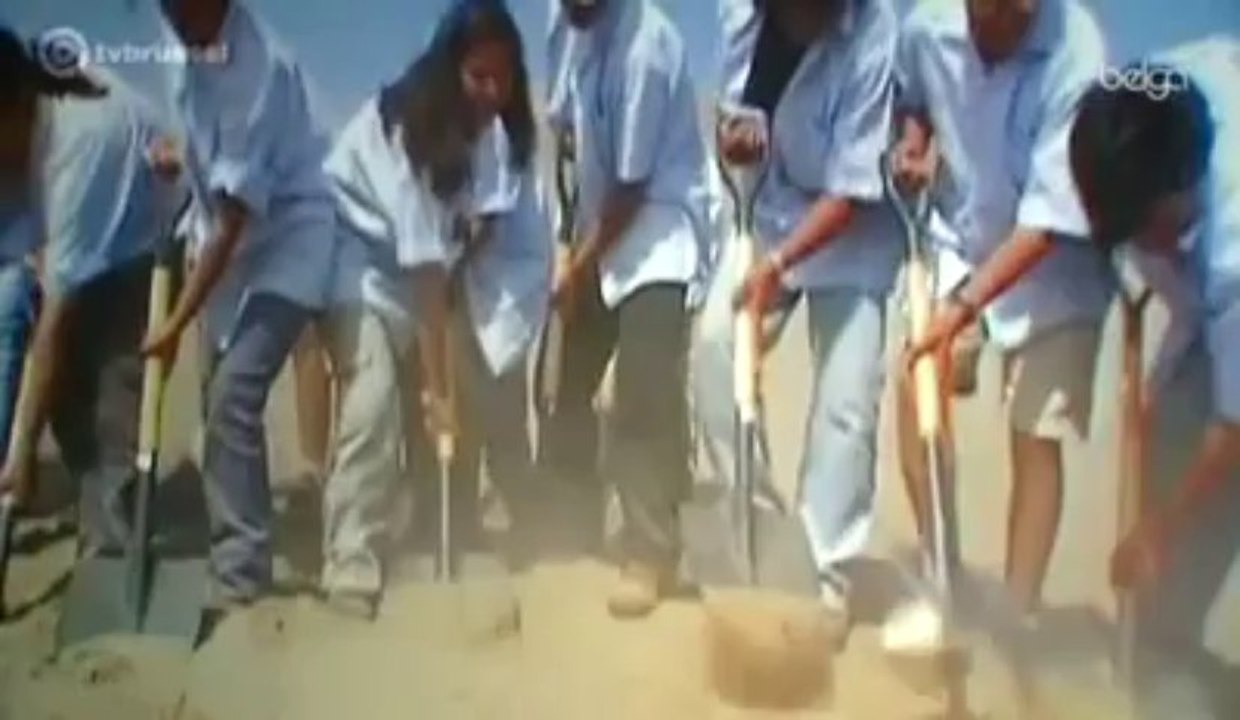 Francis Alÿs : une histoire de déception