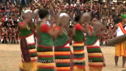 Nagaland-hornbill festival-Kachari-Dance with the plate-3