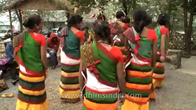 Nagaland-hornbill festival-Kachari-Dance-1