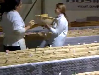 Record du monde de la bûche la plus longue