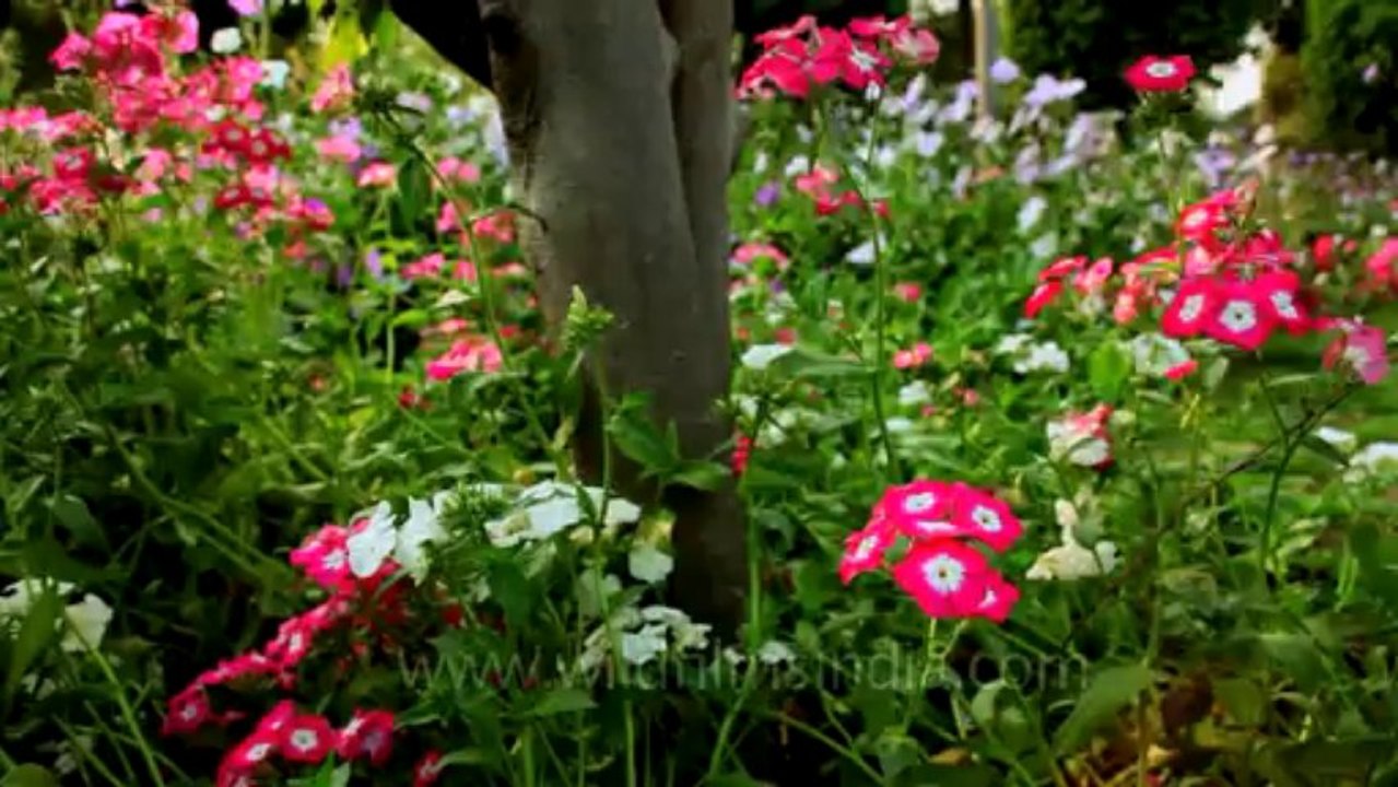 Nehru park-12