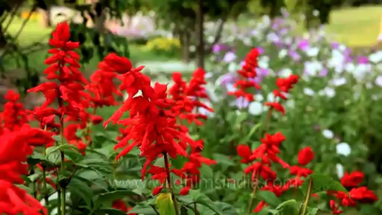 Nehru park-14