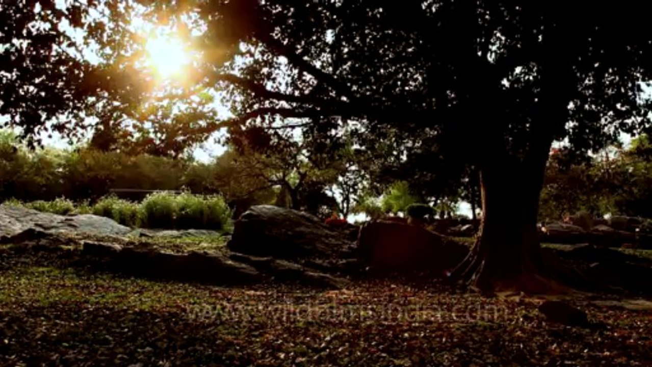 Nehru park-15