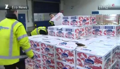 Enorme succès du homard canadien en Belgique