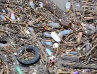 Risques d'inondations à cause la fonte des neiges