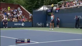 Squirrel interrupts the match between Lisicki-Dushevina 2013 US Open